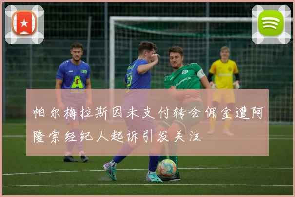 帕尔梅拉斯因未支付转会佣金遭阿隆索经纪人起诉引发关注